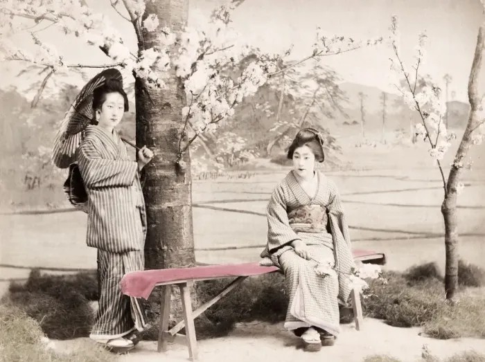 Framed Print : Late 19th century - young Japanese women, cherry blossom Framed Print : Late 19th century - young Japanese women, cherry blossom