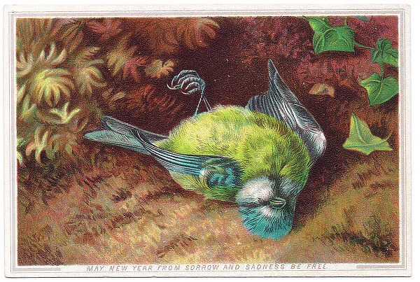 Late Victorian 1890s Card Cards Greetings Design