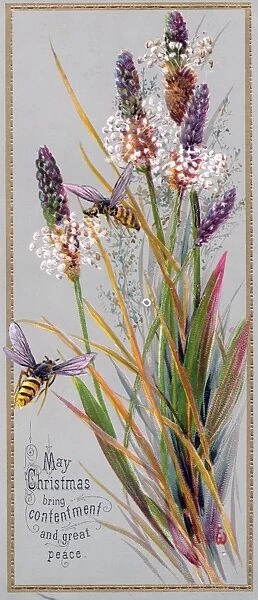 Lavender and a bee on a Christmas card