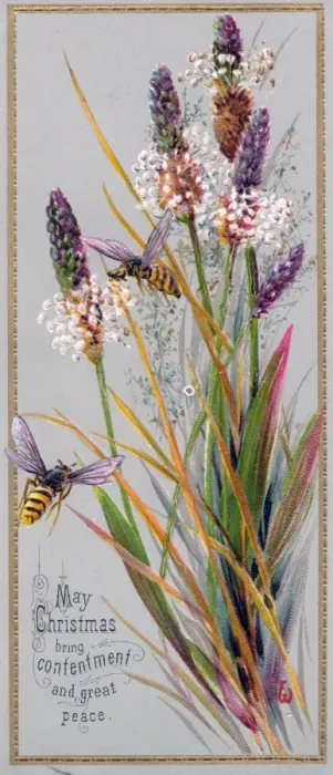 Framed Print : Lavender and a bee on a Christmas card Framed Print : Lavender and a bee on a Christmas card