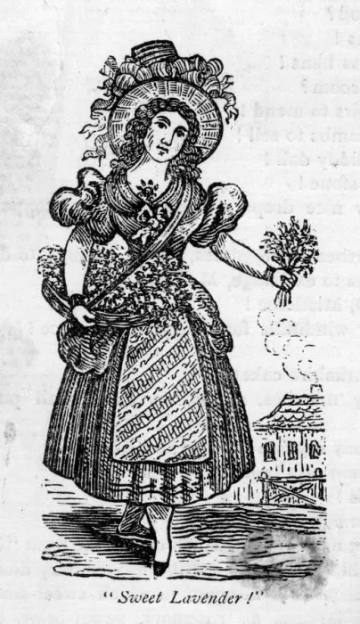 Framed Print : LAVENDER SELLER / 1810 Framed Print : LAVENDER SELLER / 1810