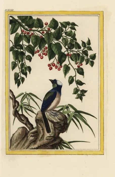 Framed Print : Le Dehorne Framed Print : Le Dehorne