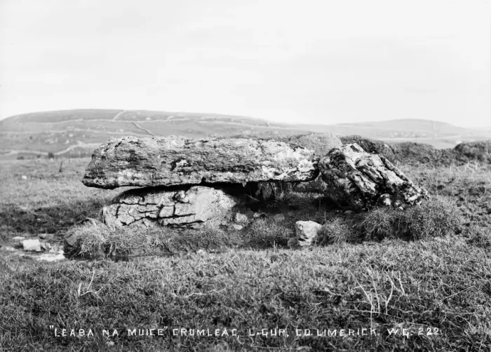 Framed Print : Leaba Na Muice Cromlech, Lough Gur, Co Limerick Framed Print : Leaba Na Muice Cromlech, Lough Gur, Co Limerick