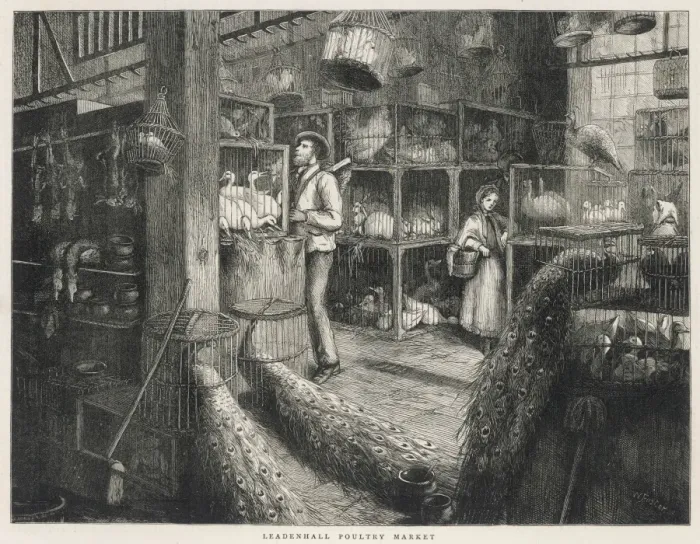 Framed Print : Leadenhall Poultry Framed Print : Leadenhall Poultry
