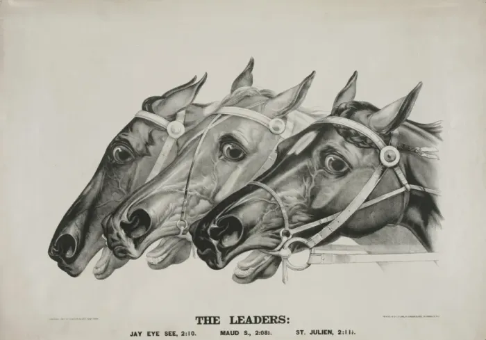 Framed Print : The leaders Framed Print : The leaders