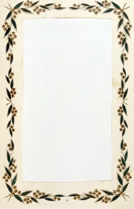 Framed Print : Leafy Surround Framed Print : Leafy Surround