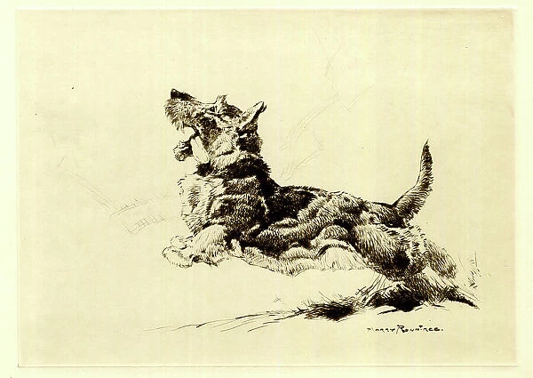 Leaping Dog, by Harry Rountree