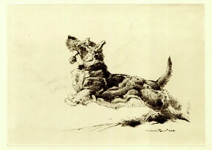 Framed Print : Leaping Dog, by Harry Rountree Framed Print : Leaping Dog, by Harry Rountree