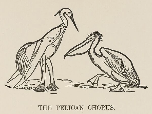 Lear  /  Pelican Chorus  /  C19