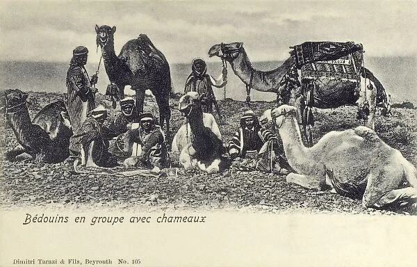 Lebanon - Bedouins with their camels