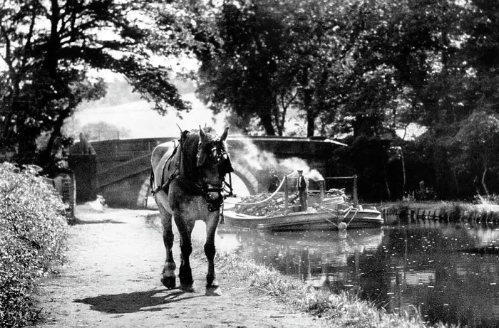 Framed Print : Leeds and Liverpool Canal horse drawn barge early 1900s Framed Print : Leeds and Liverpool Canal horse drawn barge early 1900s