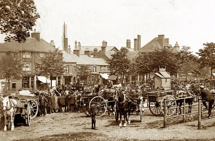Framed Print : Leek Cattle Market early 1900's Framed Print : Leek Cattle Market early 1900's