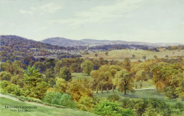 Framed Print : Leith Hill and Dorking, Surrey, viewed from Box Hill Framed Print : Leith Hill and Dorking, Surrey, viewed from Box Hill