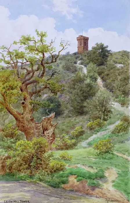 Framed Print : Leith Hill Tower, Leith Hill, near Dorking, Surrey Framed Print : Leith Hill Tower, Leith Hill, near Dorking, Surrey