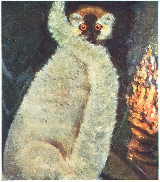 The Lemur. This painting captures the soft textured fur of a lemur