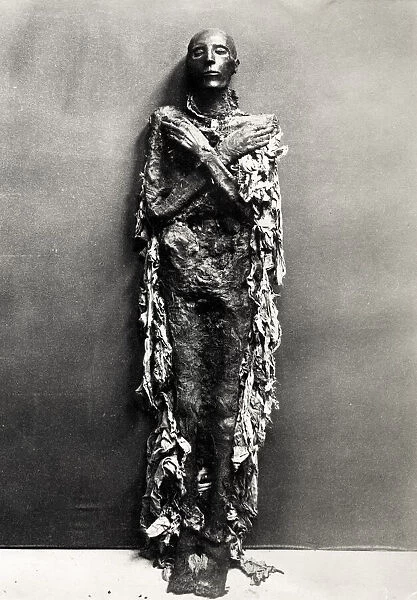 Full length Egyptian mummy