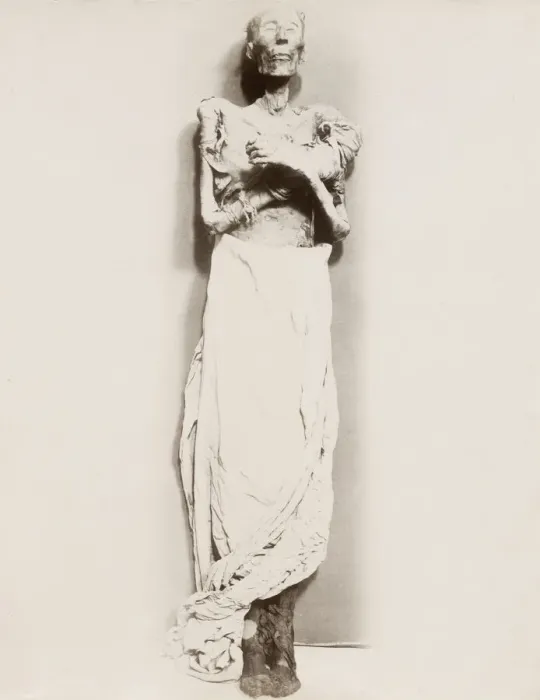 Framed Print : Full length mummy, Egypt, mummified man Framed Print : Full length mummy, Egypt, mummified man
