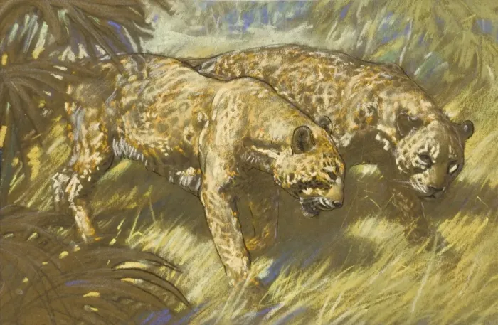 Framed Print : Two Leopards in the African bush Framed Print : Two Leopards in the African bush