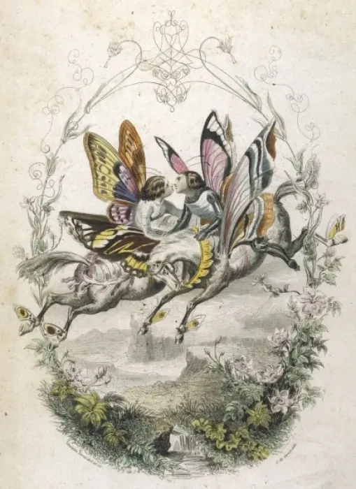 Framed Print : Lepidoptera Ride, Kiss Framed Print : Lepidoptera Ride, Kiss