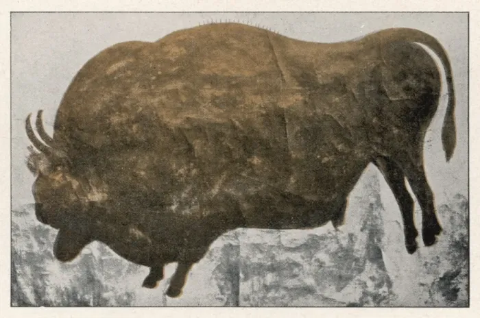 Framed Print : Les Eyzies Bison (2) Framed Print : Les Eyzies Bison (2)