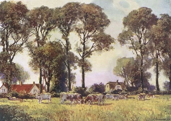 Letchworth  /  Pastoral 1913