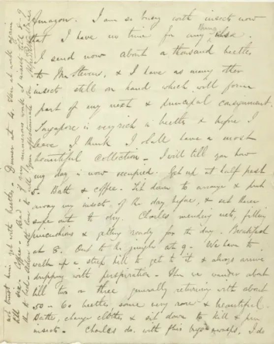 Framed Print : Letter from A. R. Wallace to his mother, 28 May 1854 Framed Print : Letter from A. R. Wallace to his mother, 28 May 1854