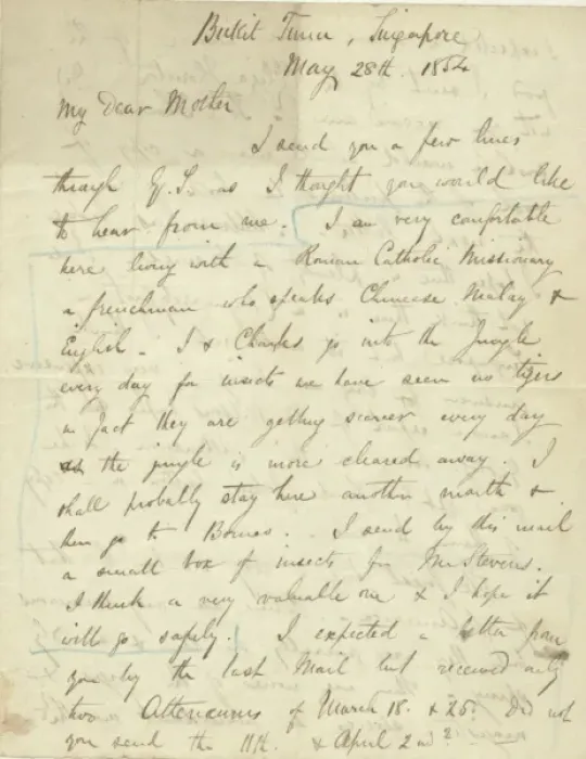 Framed Print : Letter from A. R. Wallace to his mother, 28 May 1854 Framed Print : Letter from A. R. Wallace to his mother, 28 May 1854