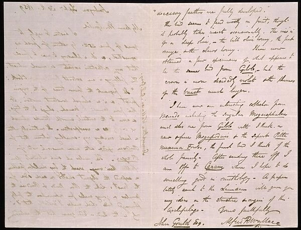 Letter from Wallace to Gould