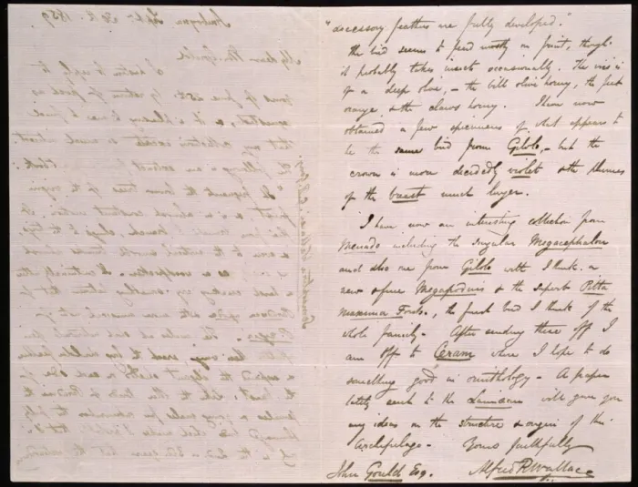 Framed Print : Letter from Wallace to Gould Framed Print : Letter from Wallace to Gould