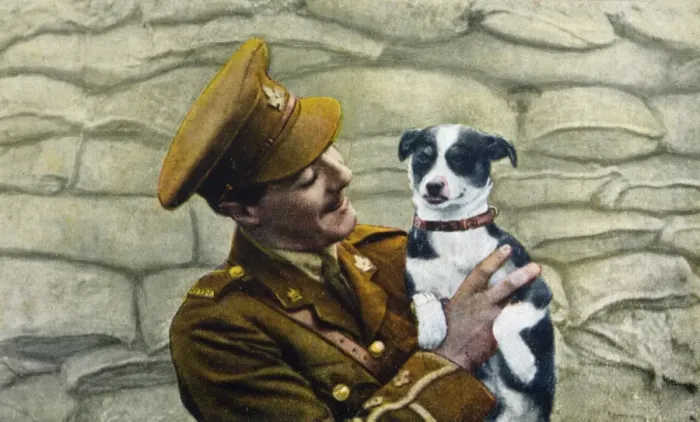 Framed Print : Liberated Dog 1918 Framed Print : Liberated Dog 1918