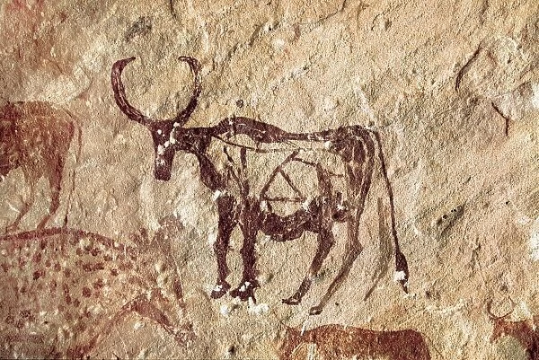 LIBYA. Tadrart Acacus. Cervid figure. Neolithic art. Cave