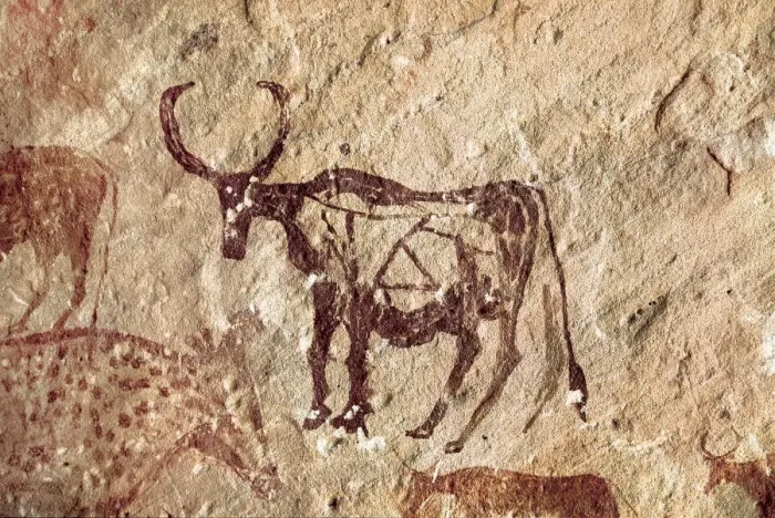 Framed Print : LIBYA. Tadrart Acacus. Cervid figure. Neolithic art. Cave Framed Print : LIBYA. Tadrart Acacus. Cervid figure. Neolithic art. Cave
