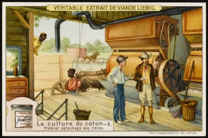 Framed Print : Liebig / Cotton 4 Framed Print : Liebig / Cotton 4