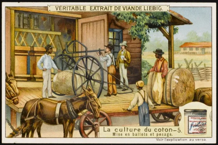 Framed Print : Liebig / Cotton 5 Framed Print : Liebig / Cotton 5