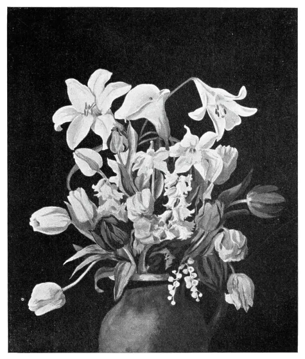 Framed Print : Still Life Flowers Framed Print : Still Life Flowers
