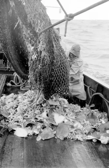 Framed Print : Life on a North Sea trawler Framed Print : Life on a North Sea trawler