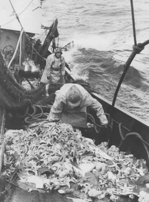 Framed Print : Life on a North Sea trawler