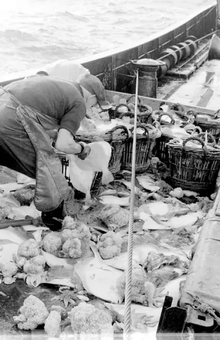Framed Print : Life on a North Sea trawler Framed Print : Life on a North Sea trawler