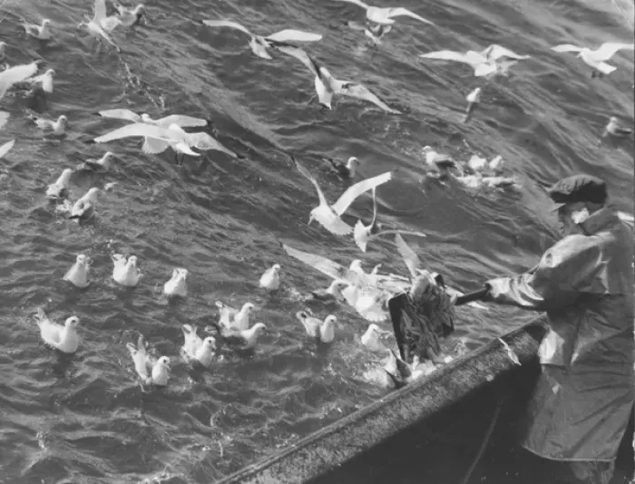 Framed Print : Life on a North Sea trawler Framed Print : Life on a North Sea trawler