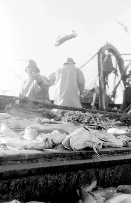 Framed Print : Life on a North Sea trawler Framed Print : Life on a North Sea trawler
