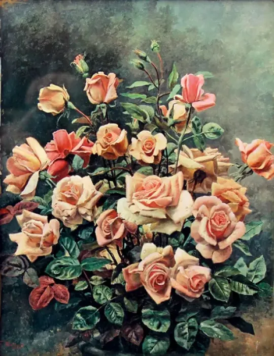 Framed Print : Still life of pink roses by Fortunino Matania Framed Print : Still life of pink roses by Fortunino Matania