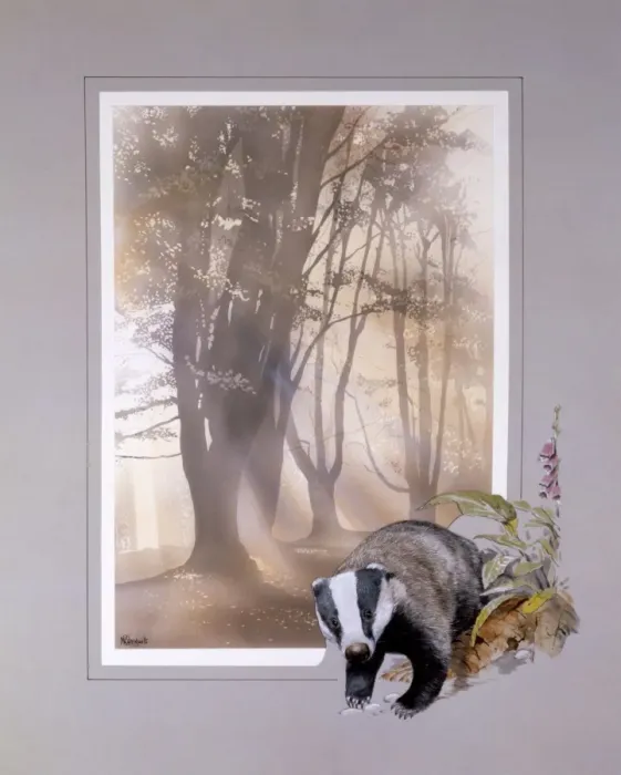 Framed Print : Light through the trees with Badger border Framed Print : Light through the trees with Badger border