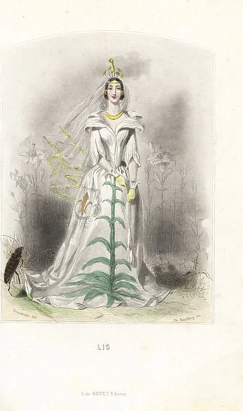 Lily flower fairy in white dress with veil
