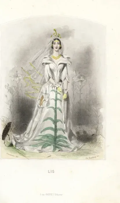 Framed Print : Lily flower fairy in white dress with veil Framed Print : Lily flower fairy in white dress with veil