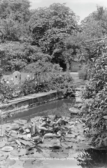 Framed Print : The Lily Pond at Cober Hill Framed Print : The Lily Pond at Cober Hill