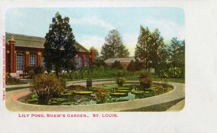Framed Print : Lily Pond, Shaw';s Garden, St. Louis, Missouri, USA Framed Print : Lily Pond, Shaw';s Garden, St. Louis, Missouri, USA