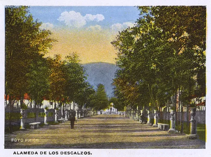Framed Print : Lima, Peru - Alameda de los Descalzos Framed Print : Lima, Peru - Alameda de los Descalzos