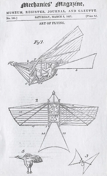 A Line-Drawing of Thomas Walkers First Design for a Fly?
