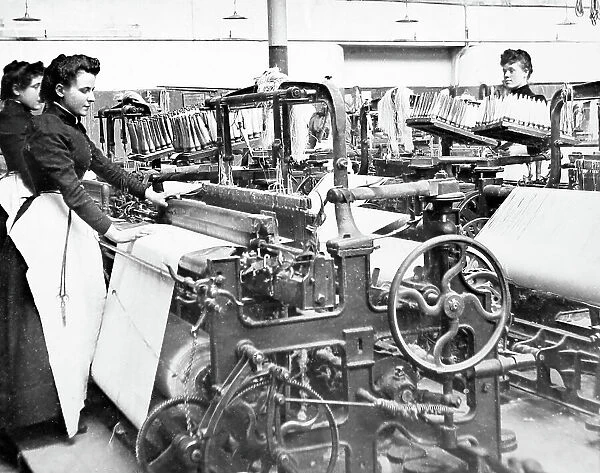 Linen manufacture, Plain power loom