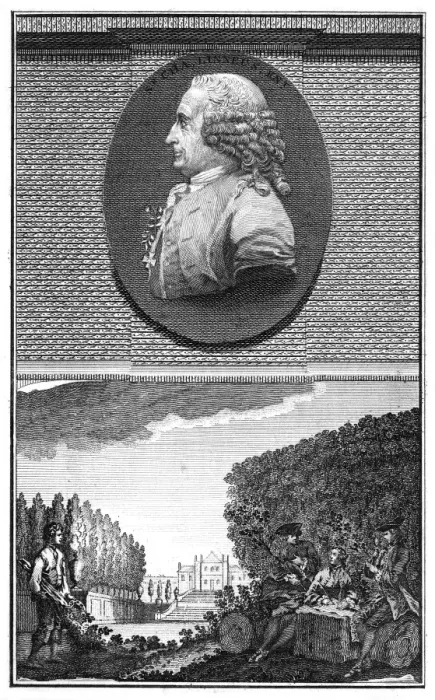 Framed Print : Linnaeus and Scene Framed Print : Linnaeus and Scene